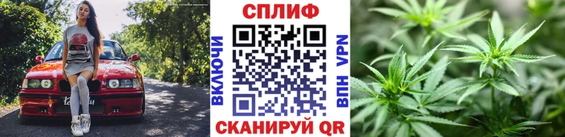 Бошки Шишки марихуана  Кущёвская 